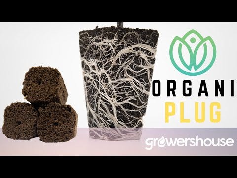 Pre-filled GrowersHouse OrganiPlug seed and cutting plugs in a tray, ready for planting, ideal for horticulture and propagation.