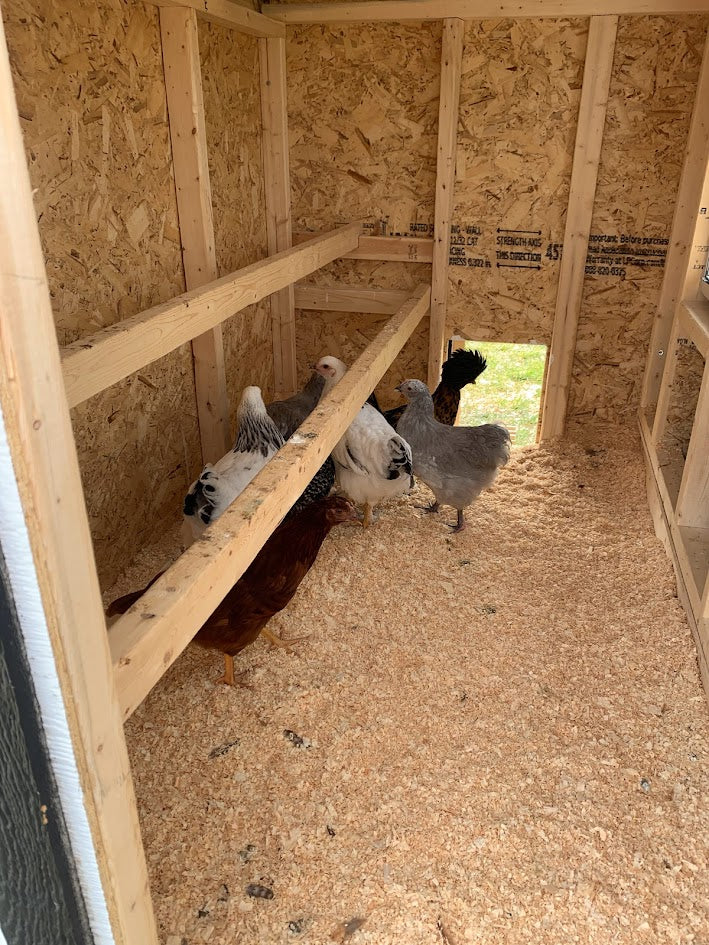 OverEZ large chicken coop with spacious design for up to 15 chickens, featuring sturdy construction and secure fencing.