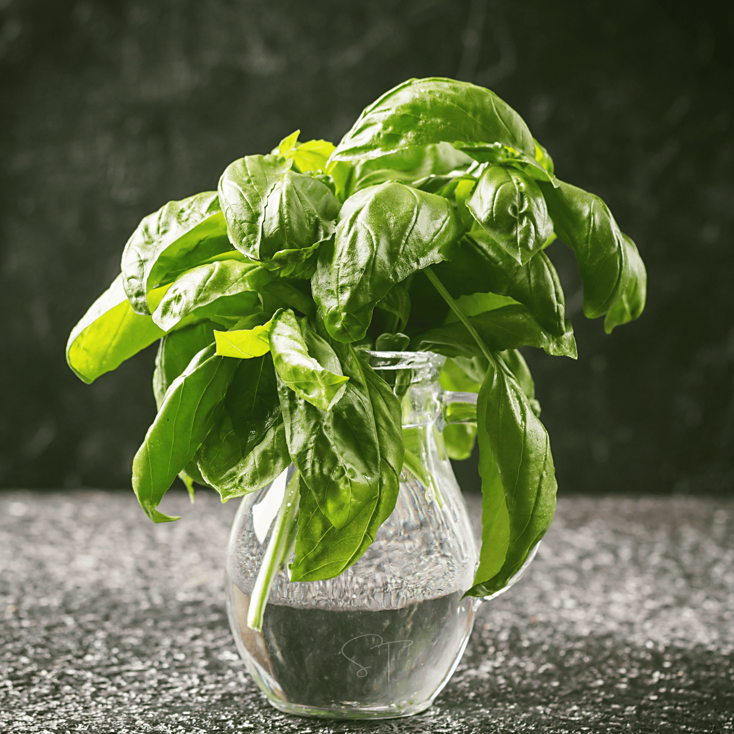 Packet of Southern Seeds Italian Large Leaf Basil seeds, showcasing fresh green basil leaves and seed packet for gardening.