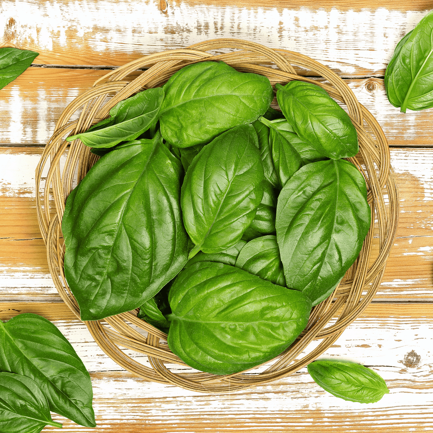 Packet of Southern Seeds Italian Large Leaf Basil seeds showing a vibrant, green basil plant with large leaves.