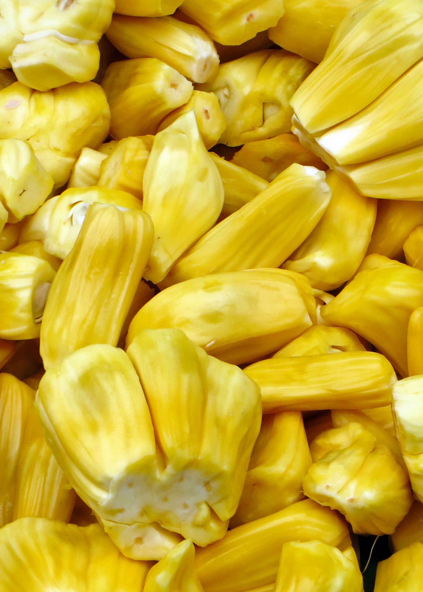 Fresh Jackfruit 'Black Gold' from Sow Exotic, tropical fruit tree with large green exterior and ripe yellow flesh inside.