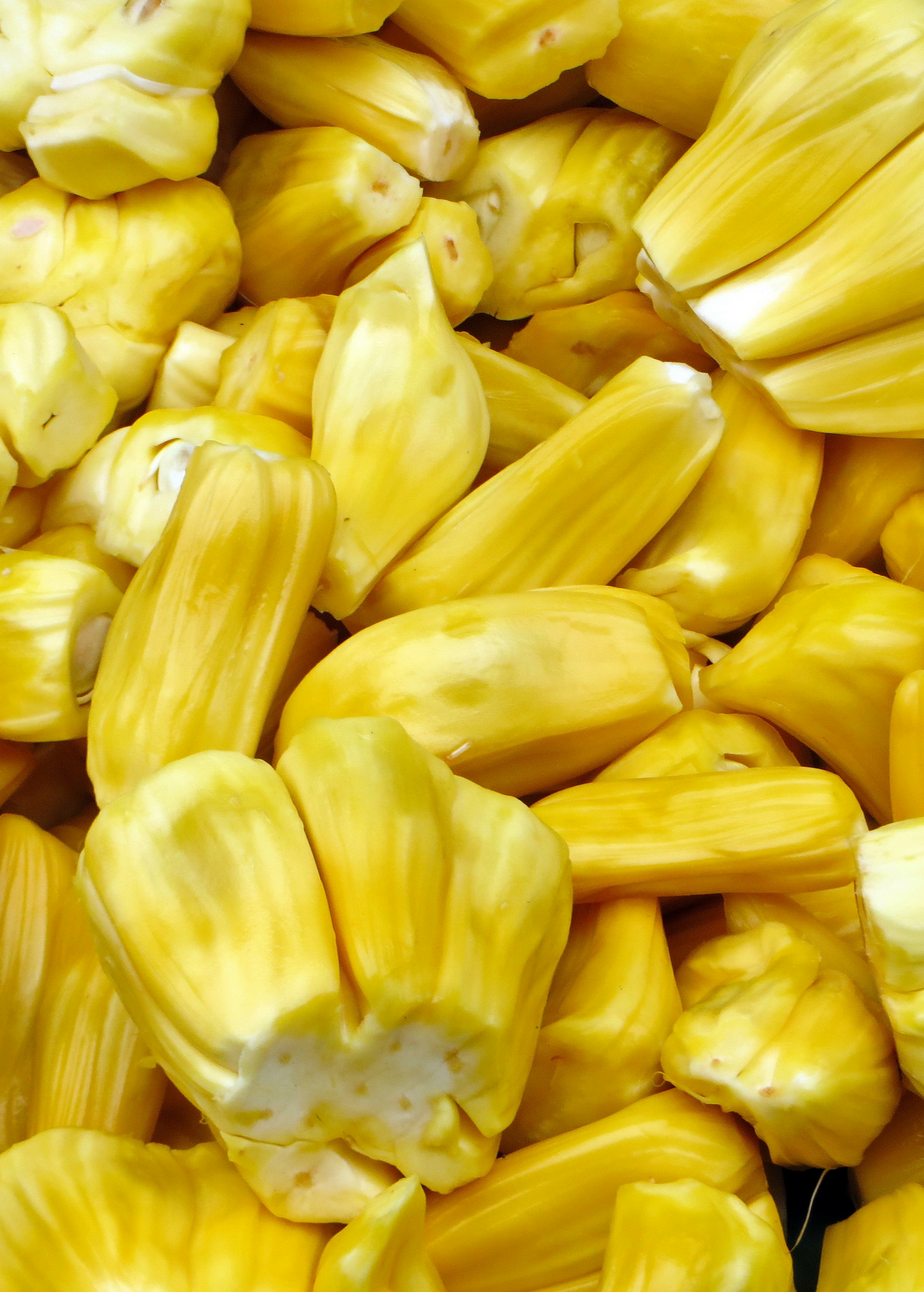 Fresh Jackfruit 'Black Gold' from Sow Exotic, tropical fruit tree with large green exterior and ripe yellow flesh inside.