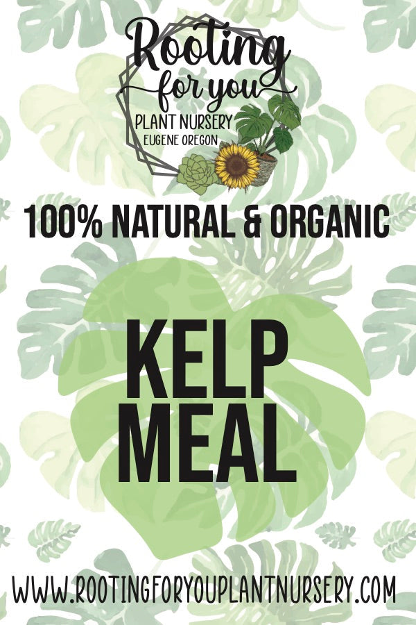 Organic kelp meal soil amendment from Rooting For You Plant Nursery, showing a bag of nutrient-rich kelp meal for plant growth.