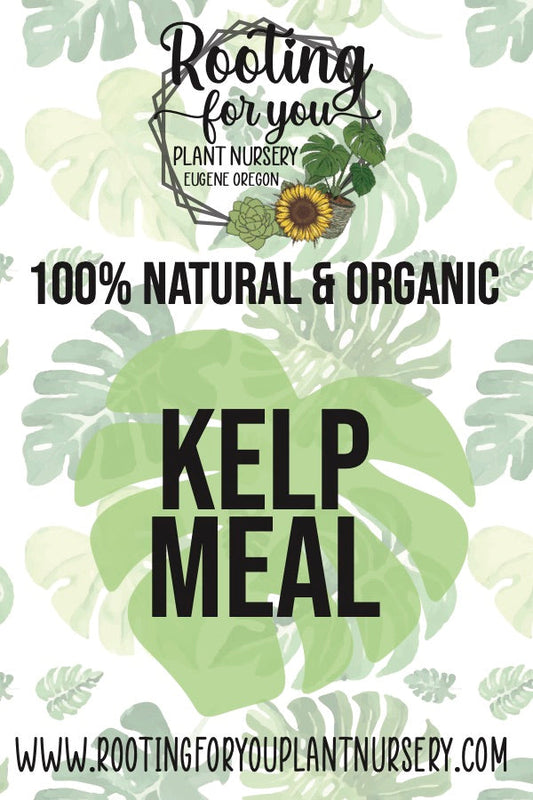 Organic kelp meal soil amendment from Rooting For You Plant Nursery, showing a bag of nutrient-rich kelp meal for plant growth.