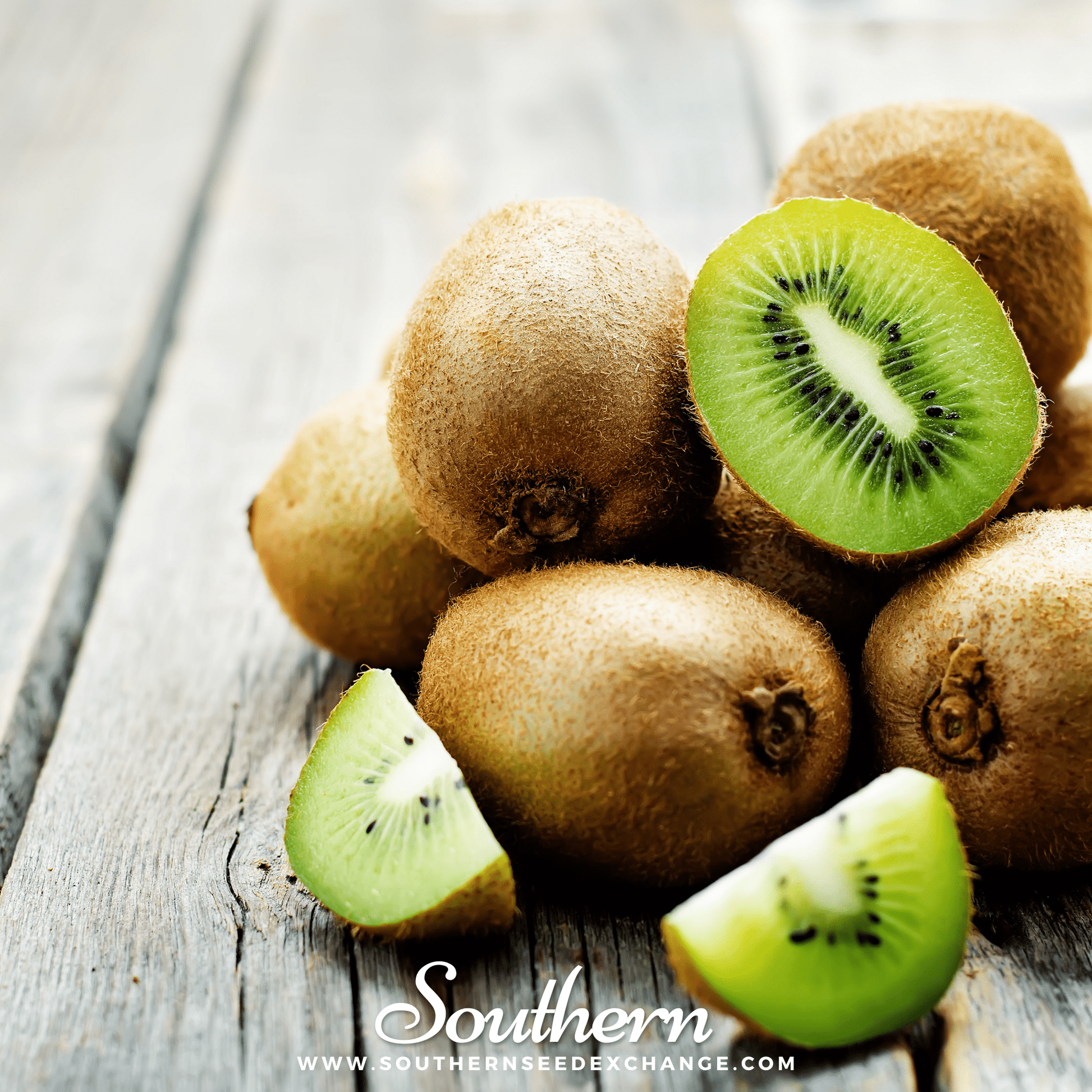 Close-up of kiwi fruit seeds from Southern Seeds, showing fresh green kiwi fruit with vibrant seeds inside.