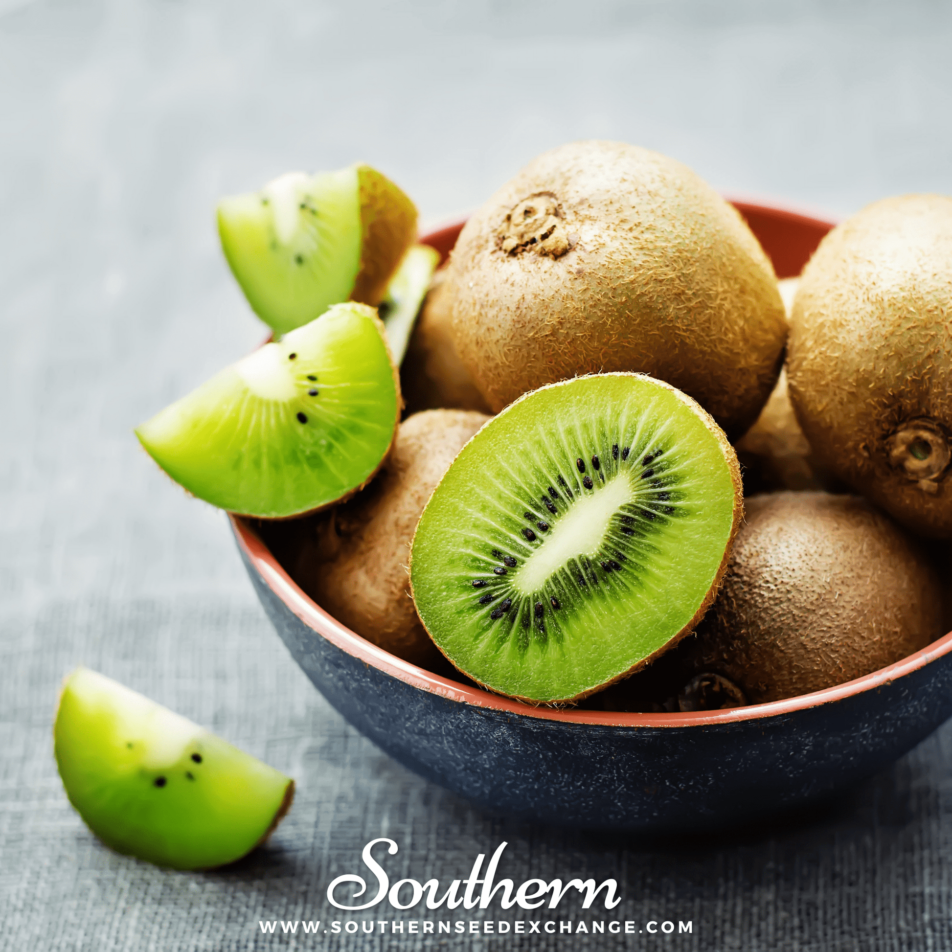 Close-up of kiwi fruit seeds from Southern Seeds, showing fresh kiwi (Actinidia chinensis) with vibrant green flesh.