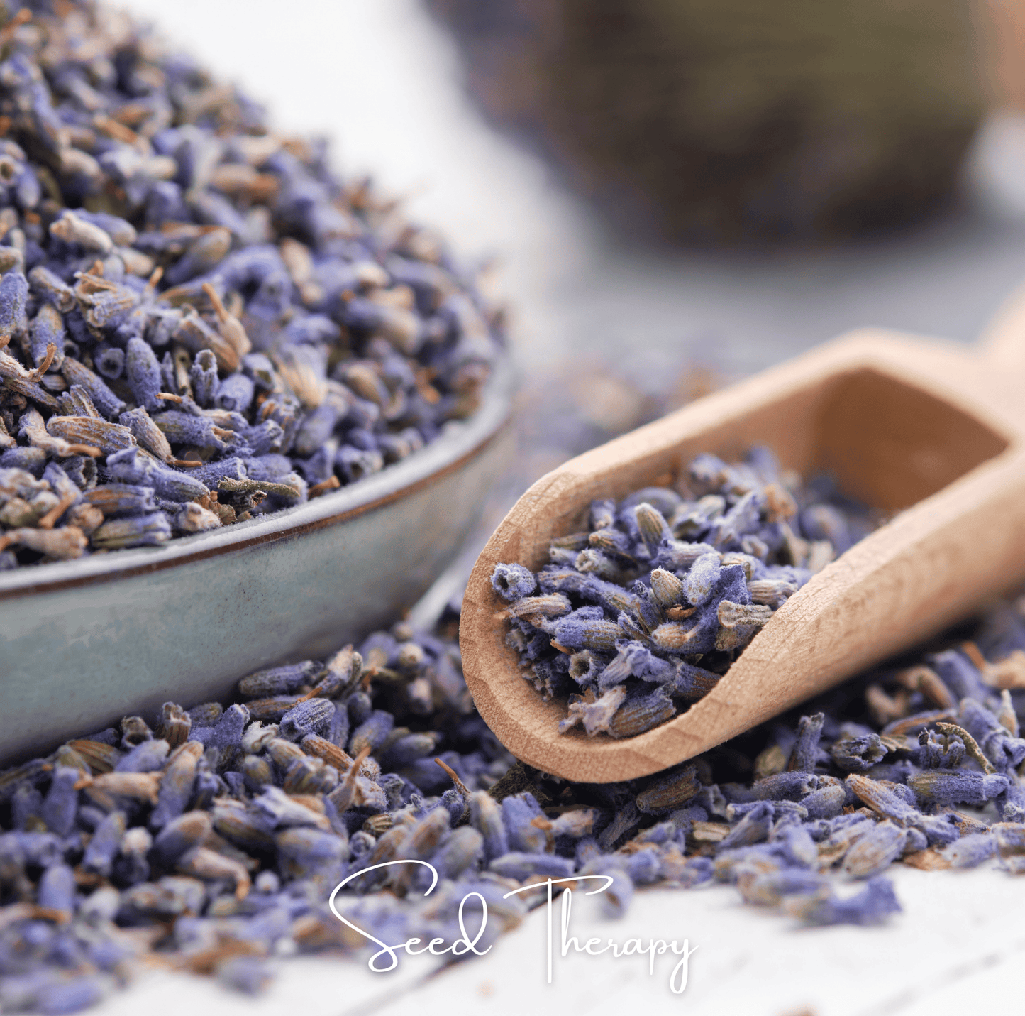 English Lavender seeds from Southern Seeds showing a packet of 100 lavender seed packets for planting.
