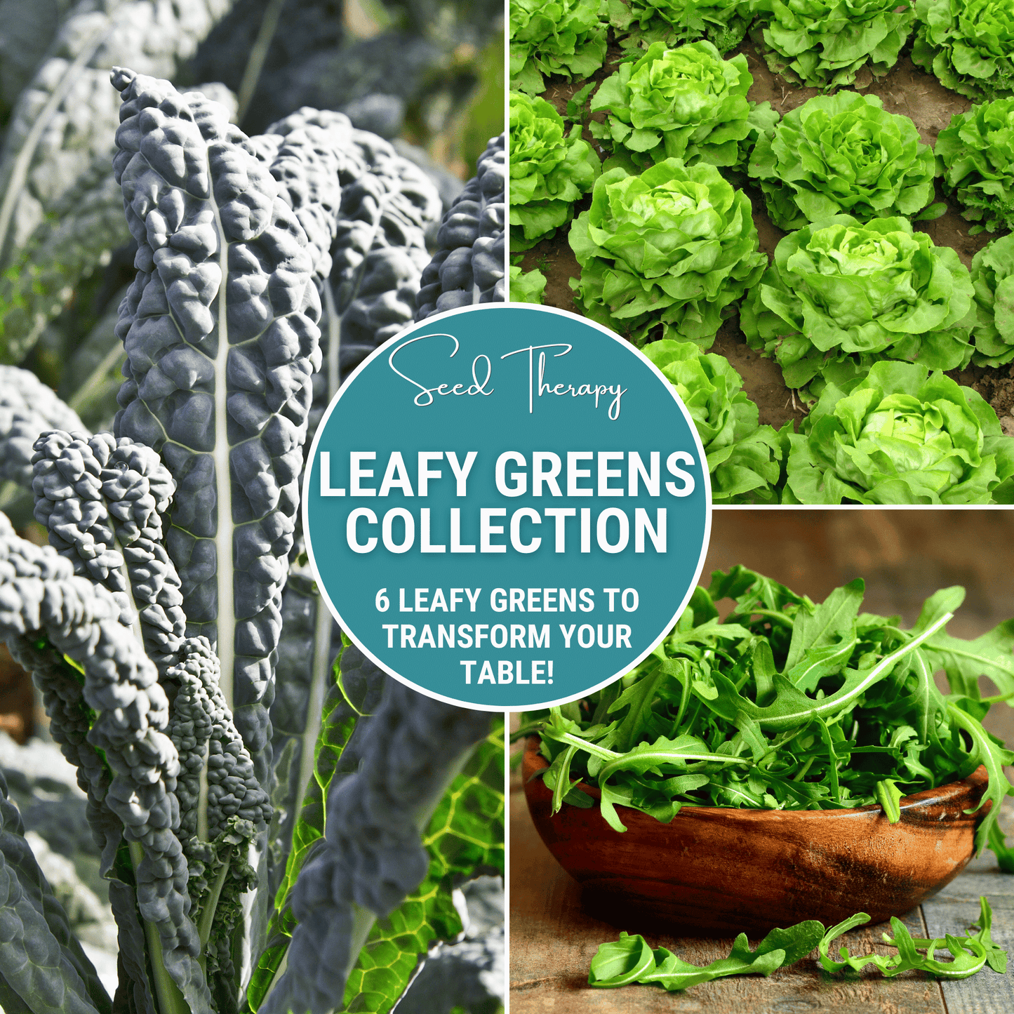 Assorted seed packets from Southern Seeds' Leafy Greens Seed Collection, featuring six varieties of fresh green vegetable seeds.