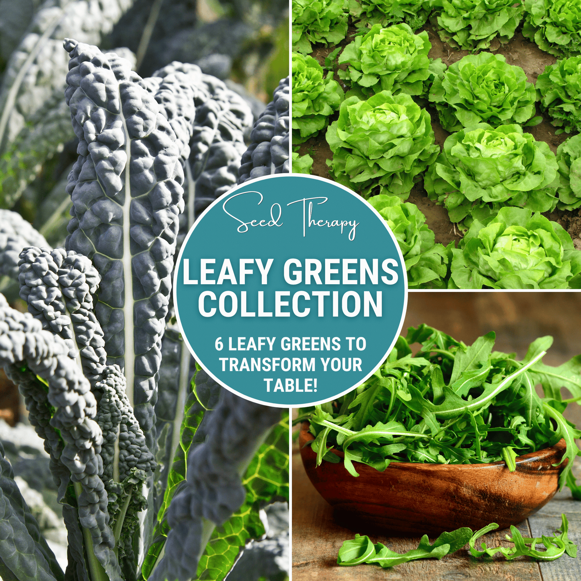 Assorted seed packets from Southern Seeds' Leafy Greens Seed Collection, featuring six varieties of fresh green vegetable seeds.