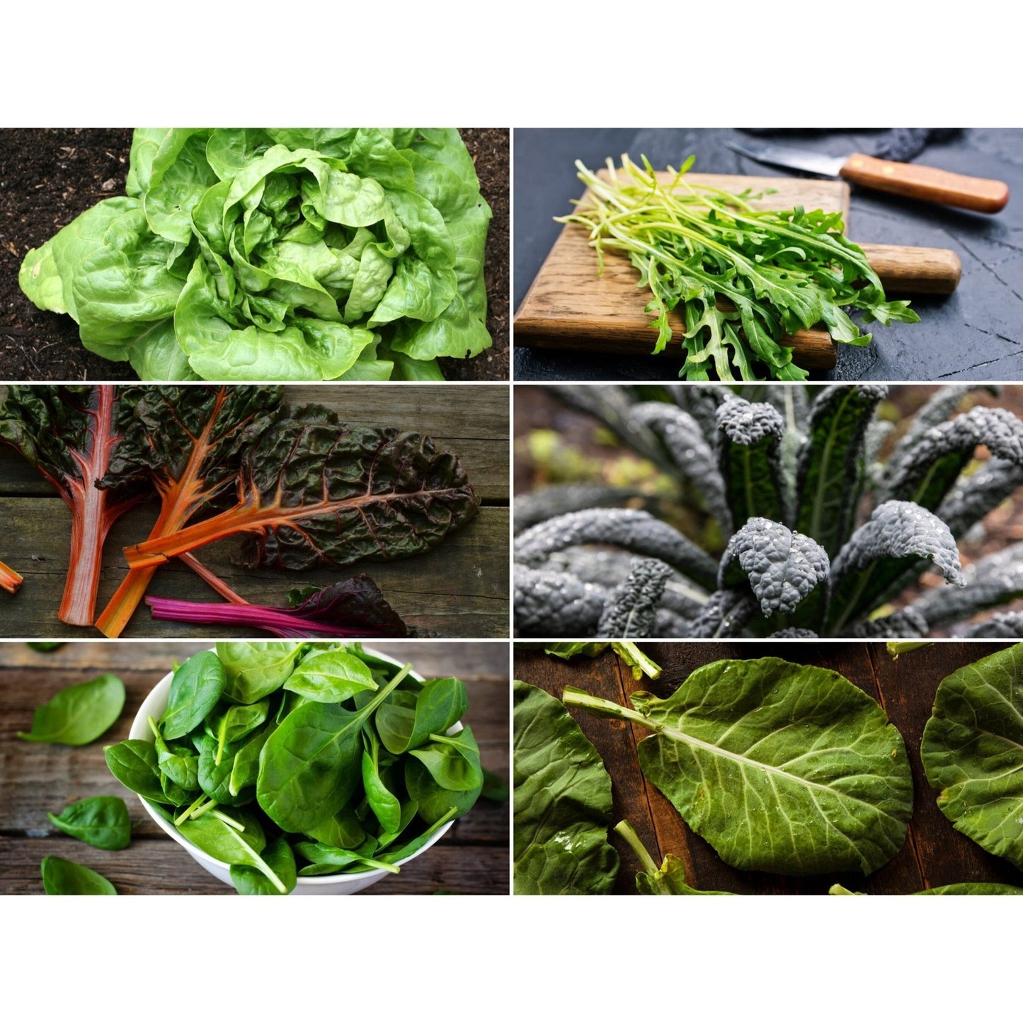 Assorted leafy greens seed collection with six varieties from Southern Seeds, showing colorful seed packets for gardening.