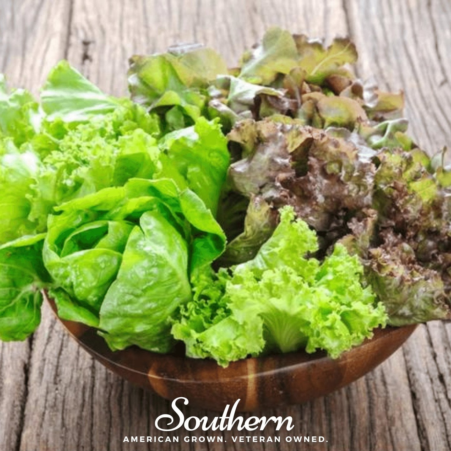 Bibb Summer Lettuce seeds from Southern Seeds, 500 seeds for planting fresh, crisp lettuce in your garden.