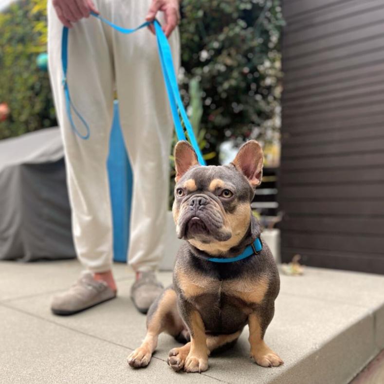 Tilley + Me hemp cotton dog leash showcasing a durable, adjustable, lightweight leash with a soft texture and natural hemp design.