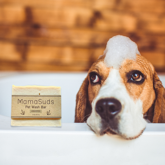 Unscented MamaSuds Pet Wash Bar Soap, natural bar soap designed for pet cleaning, with a clean and simple appearance.