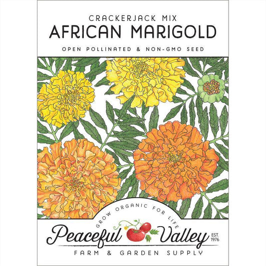 Pack of African Marigold flower seeds from Grow Organic, showcasing vibrant yellow-orange marigold blooms and seed packets.