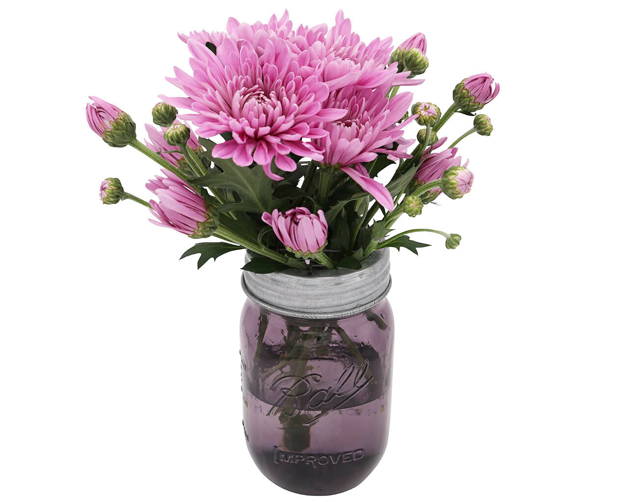 Galvanized metal frog lid for Mason Jar Lifestyle flower organizer, fits regular-mouth mason jars, with chicken wire design.