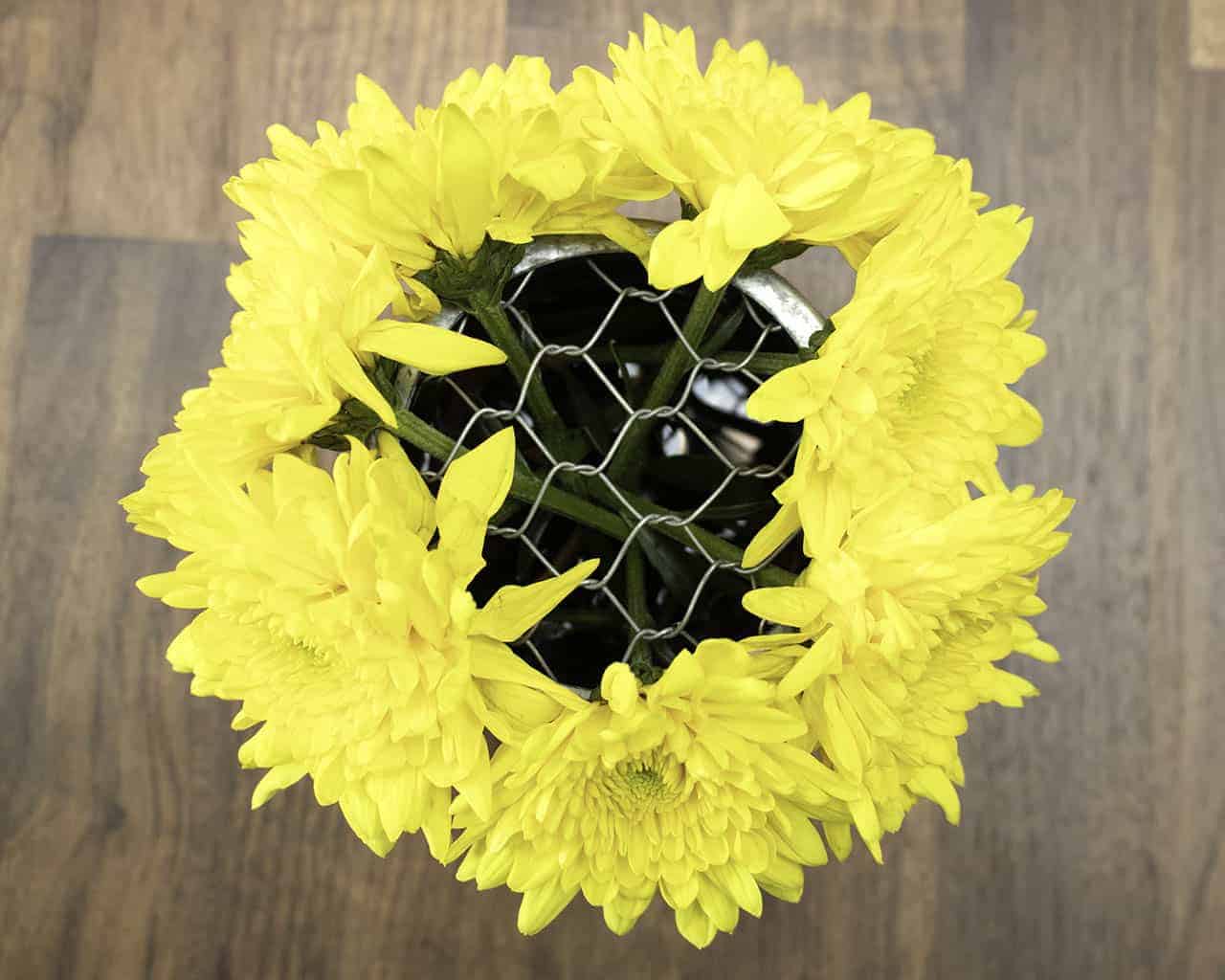 Galvanized metal frog lid with chicken wire for mason jars, ideal as a flower organizer, by Mason Jar Lifestyle.