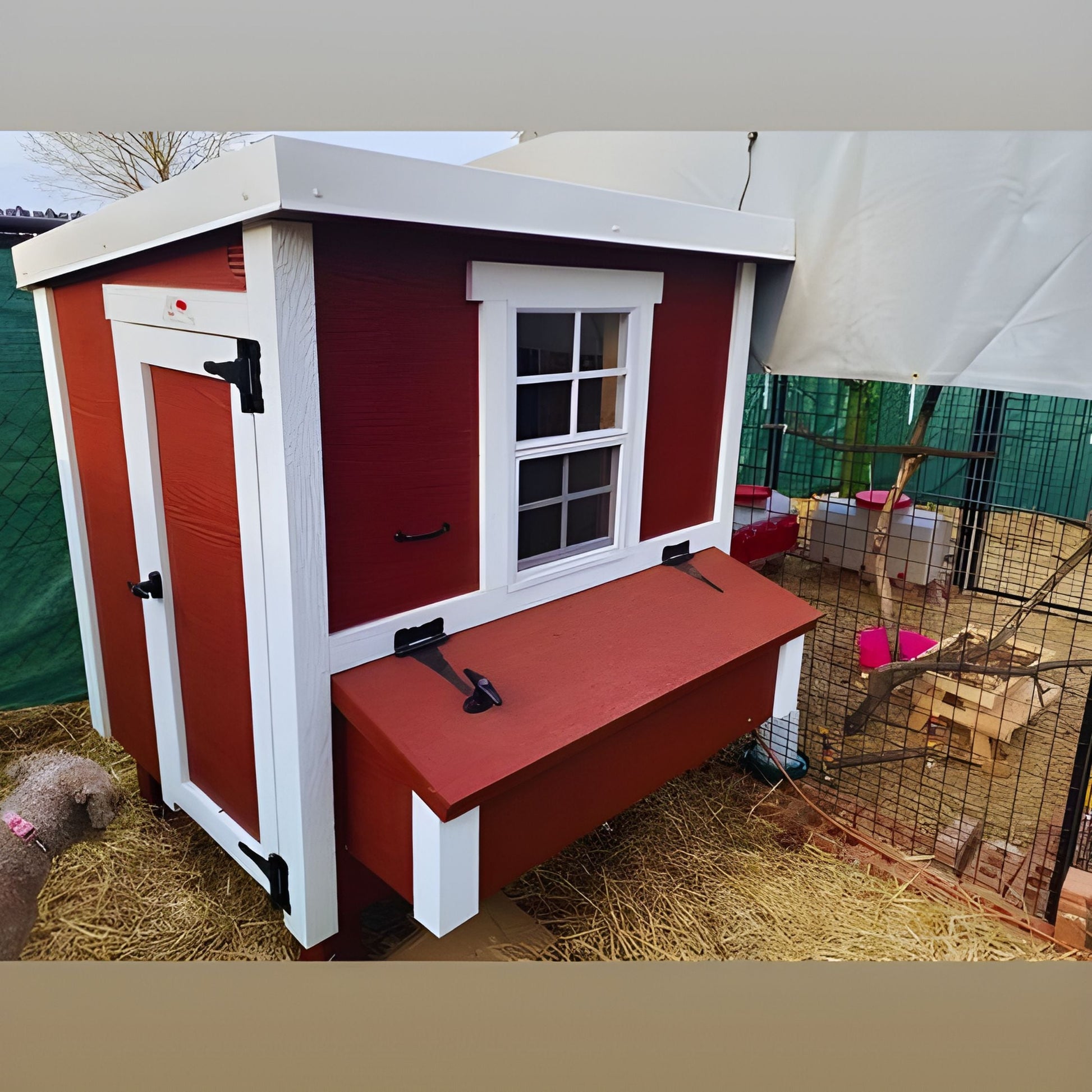 Medium OverEZ Chicken Coop for up to 10 chickens, featuring a sturdy design with ventilation and easy access for backyard poultry.