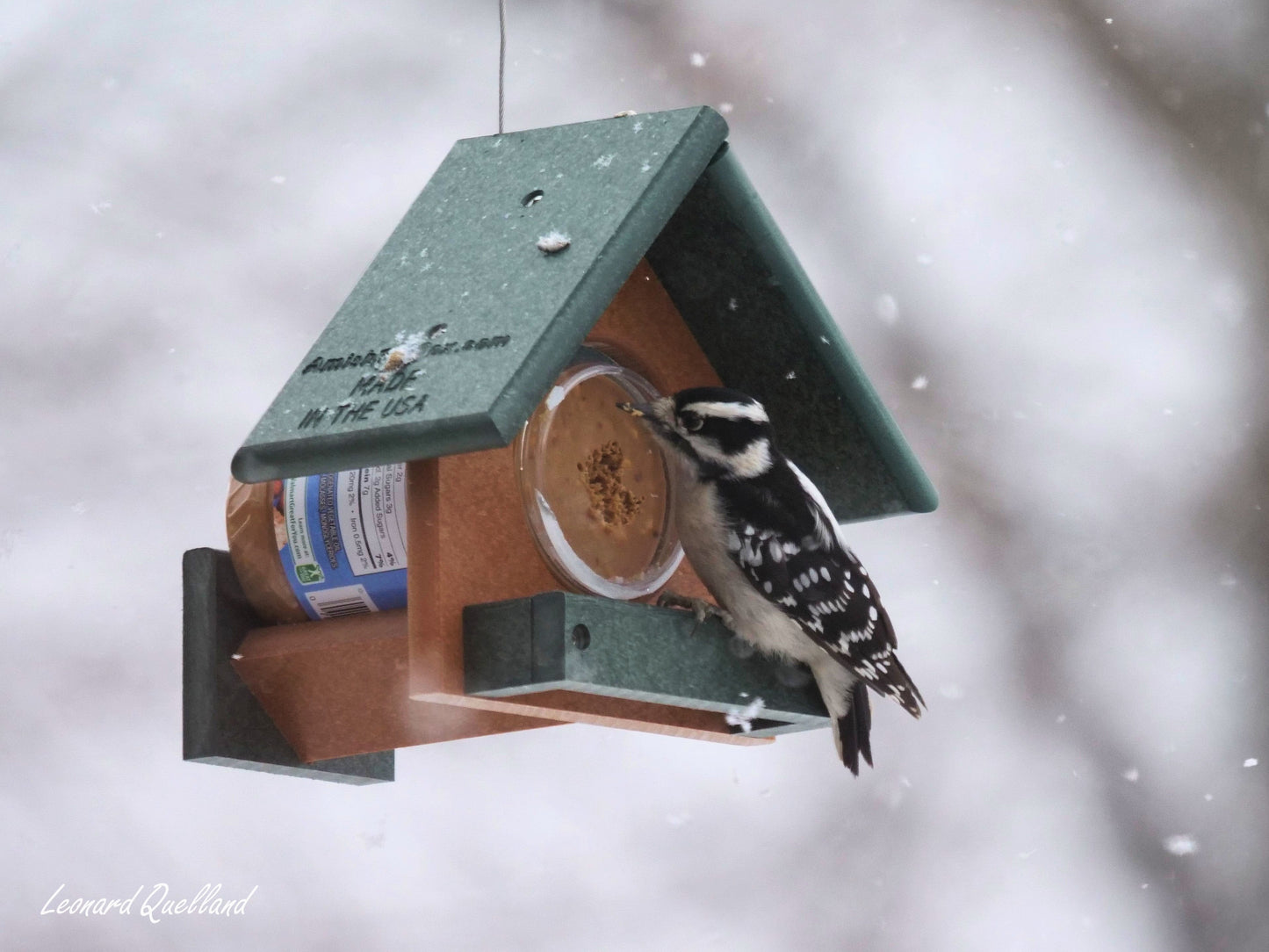 Amish-made peanut butter bird feeder holding an 18 oz. jar, designed to attract small and medium-sized garden birds.