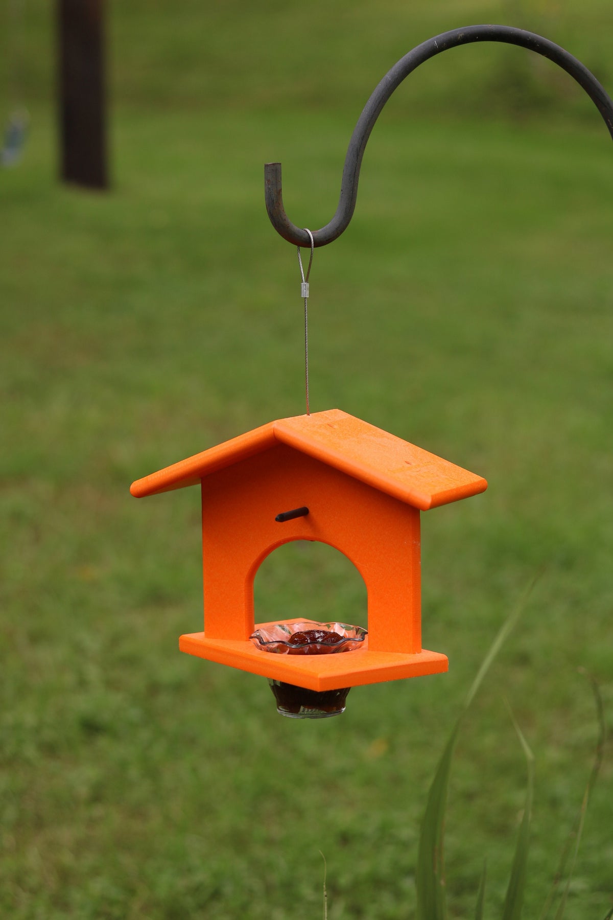 Eco-friendly hanging oriole bird feeder made of poly lumber, featuring orange jelly and bird perch for attracting orioles.