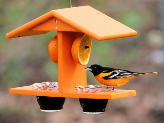 AmishToyBox.com Oriole Bird Feeder with double cups and pegs for orange halves, designed for attracting orioles and other garden birds.