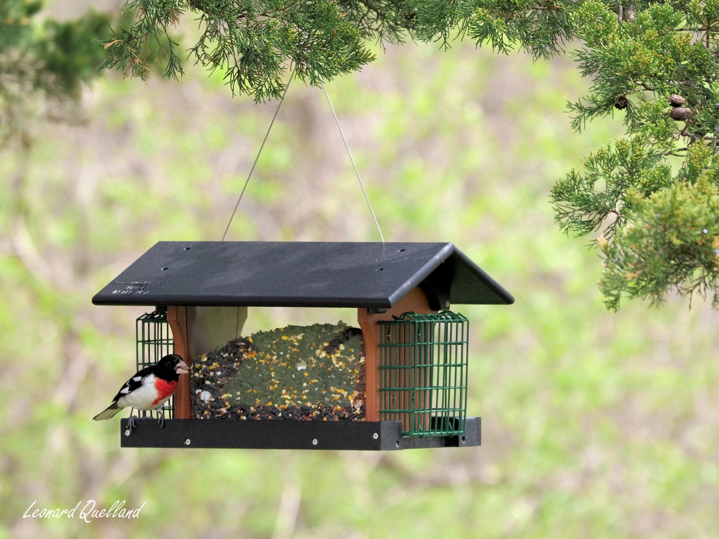 Amish-made deluxe bird feeder with suet holder, crafted from durable poly lumber, designed for attracting backyard birds.