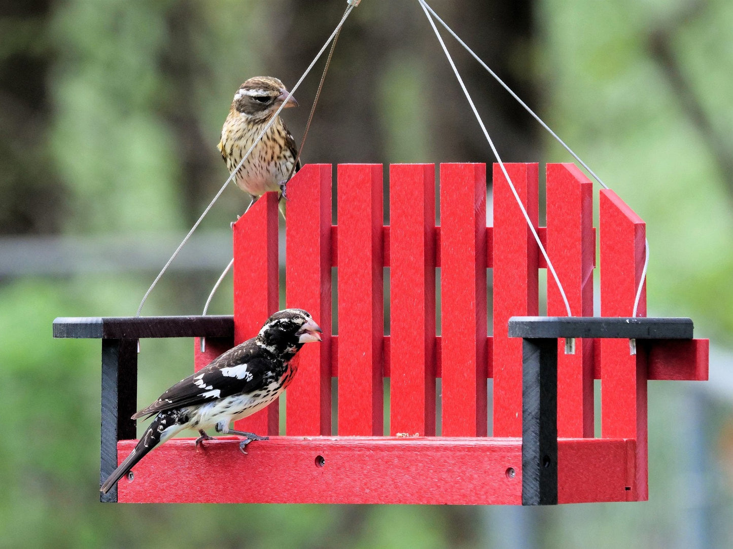 Amish-made porch swing bird feeder crafted from eco-friendly poly lumber, hanging decorative bird feeder for outdoor gardens.