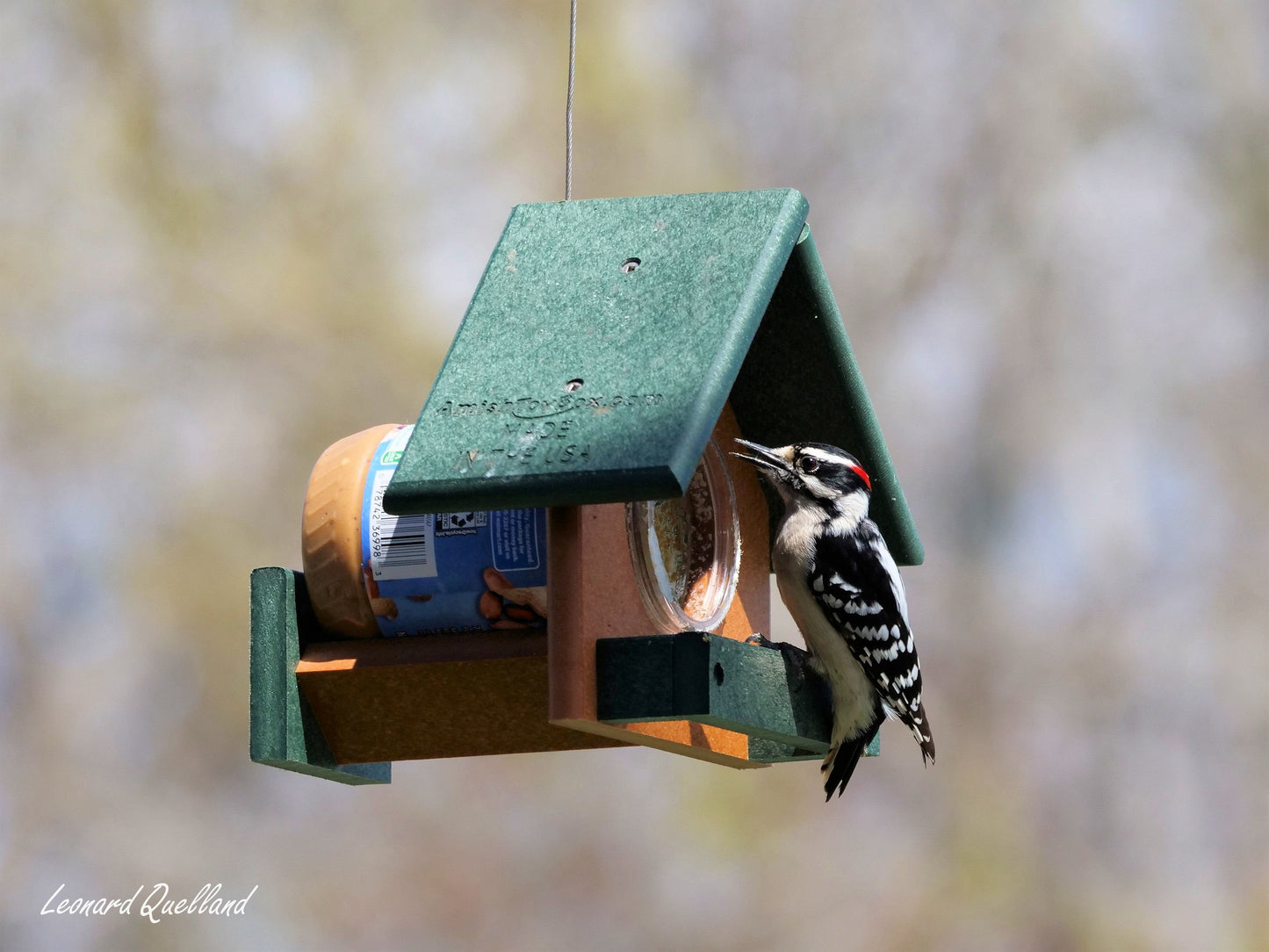 Amish-made peanut butter bird feeder designed for 18 oz. jars, featuring a wooden perch and clear feeding opening for birds.
