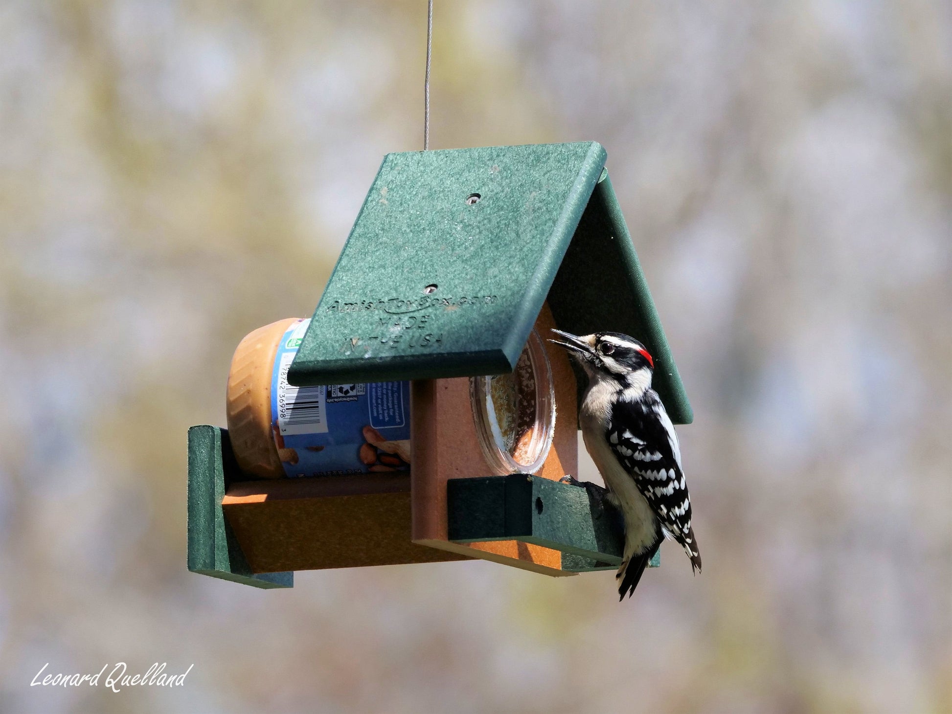 Amish-made peanut butter bird feeder designed for 18 oz. jars, featuring a wooden perch and clear feeding opening for birds.
