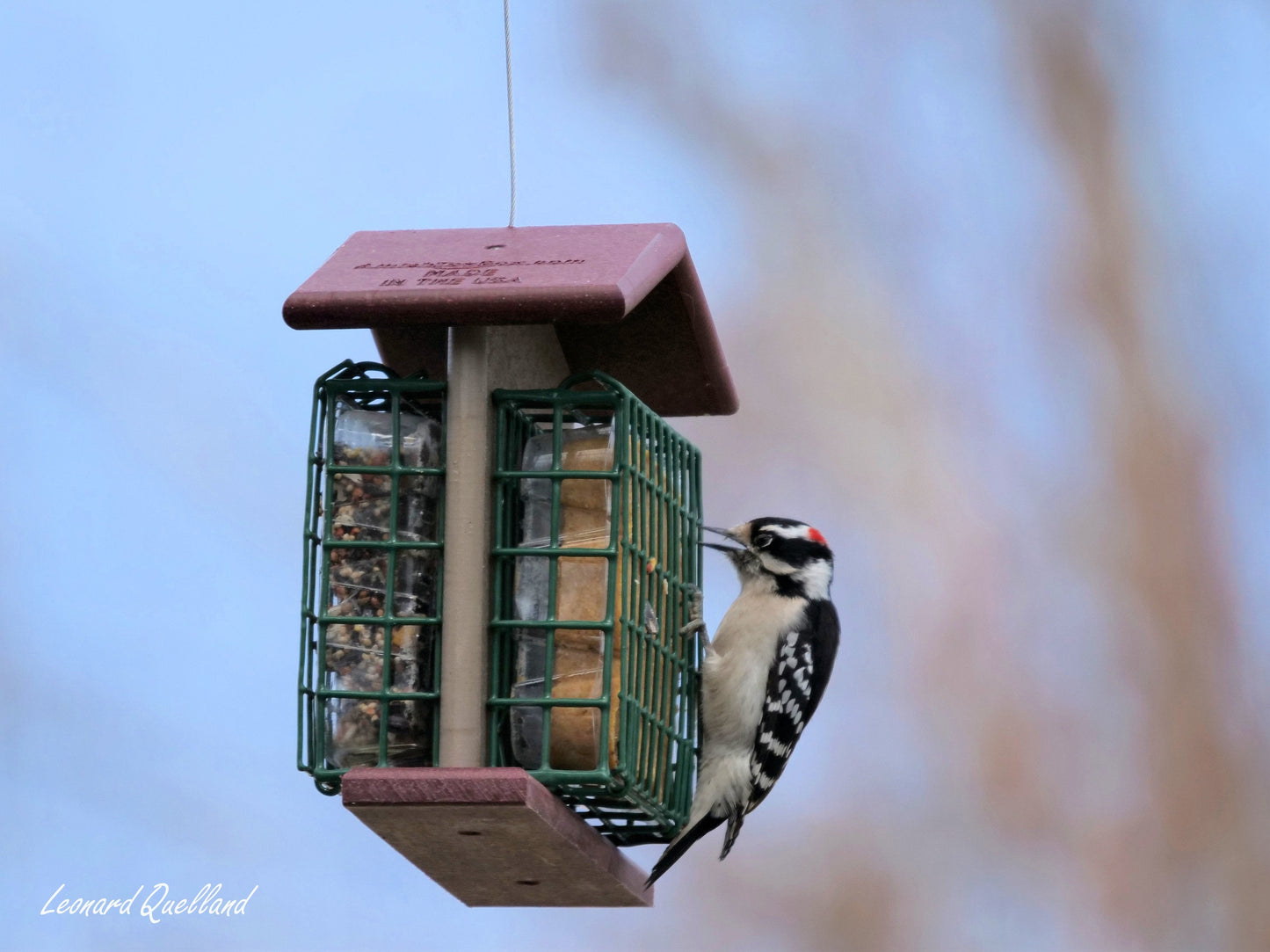 Amish-made double suet-cake bird feeder with poly lumber, designed for attracting woodpeckers and small songbirds.