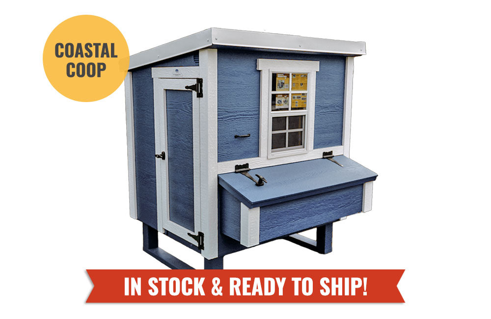 Blue medium chicken coop by OverEZ designed for up to 10 chickens, featuring a spacious and sturdy outdoor shelter for poultry.