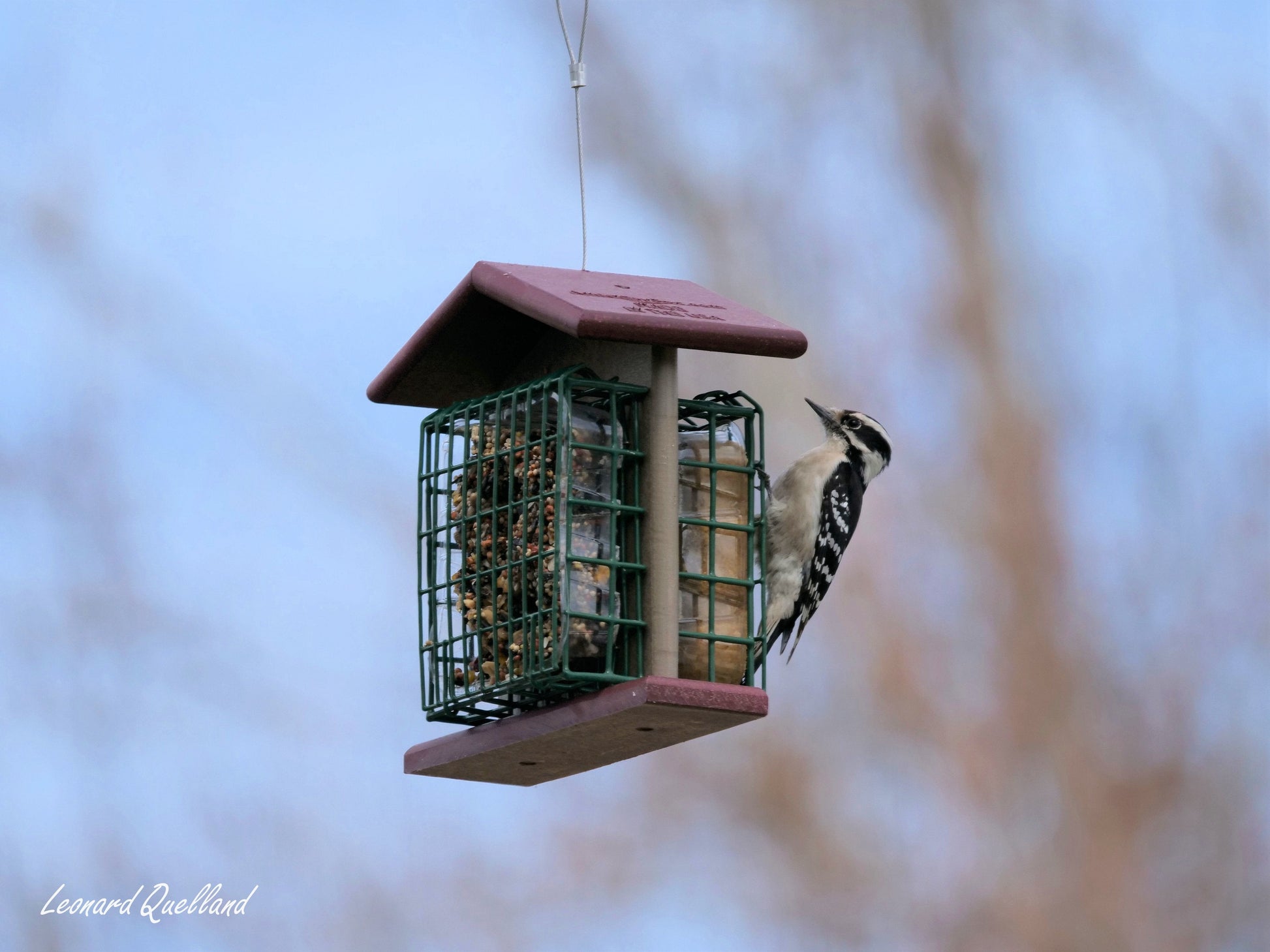 Amish-made double suet-cake bird feeder made of durable poly lumber, designed to attract and feed garden songbirds.