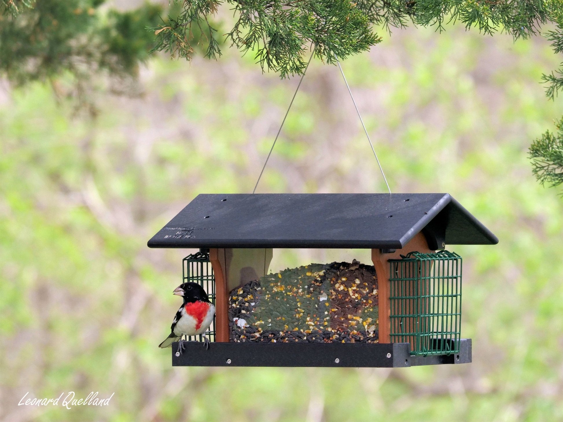 Amish-made Deluxe Bird Feeder with suet holder, crafted from durable poly lumber, ideal for attracting wild birds to your yard.