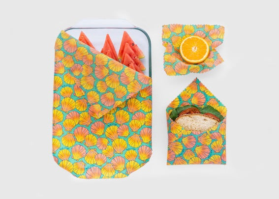 Set of Meli Wraps beeswax food wraps with sunrise shell print in small, medium, and large sizes, eco-friendly food storage.