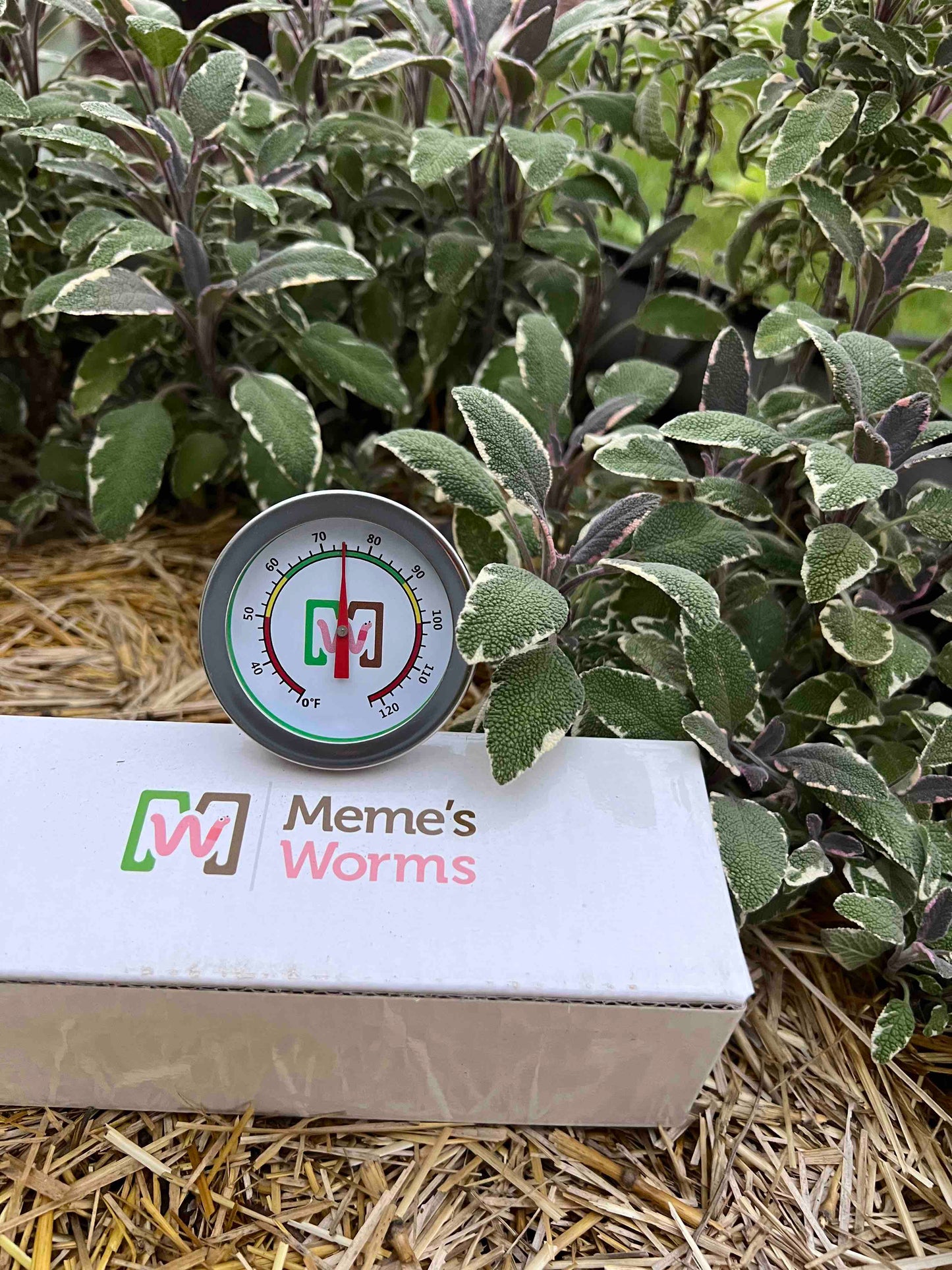 Meme's Worm Thermometer accessory from Meme's Worms brand, showing a close-up of the worm-shaped thermometer on white background.