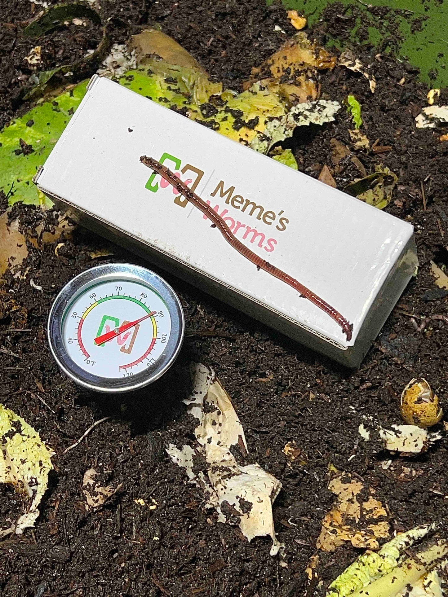 Meme's Worm Thermometer accessory by Meme's Worms, showing a close-up of the worm-themed thermometer with colorful design.