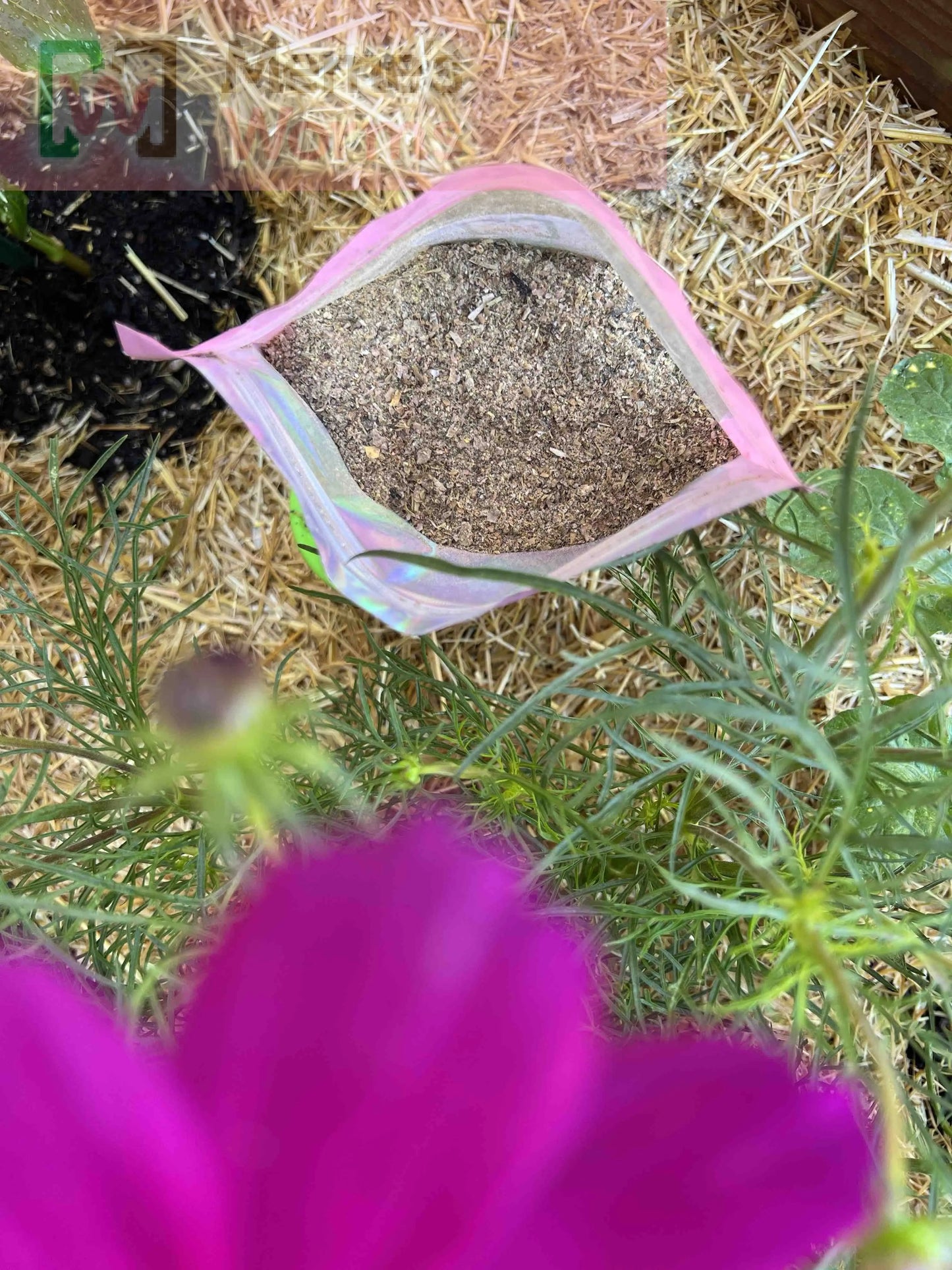 Meme's Premium Worm Chow for worms, 1 lb bag, high-quality worm food from Meme's Worms with natural ingredients.