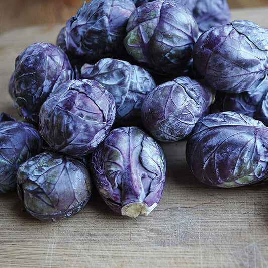 Red Bull Brussels sprouts by MIgardener, fresh green vegetable with compact leaves, ready for harvest in a garden setting.