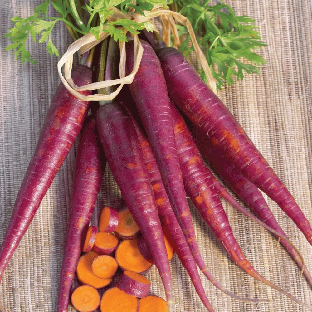 Purple Carrot from MIgardener, fresh and vibrant carrot with purple skin and orange interior, shown on a rustic wooden surface.