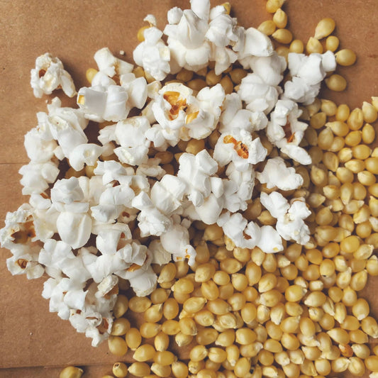 Japanese hulless popcorn corn by MIgardener, showing fresh, natural kernels suitable for popping.