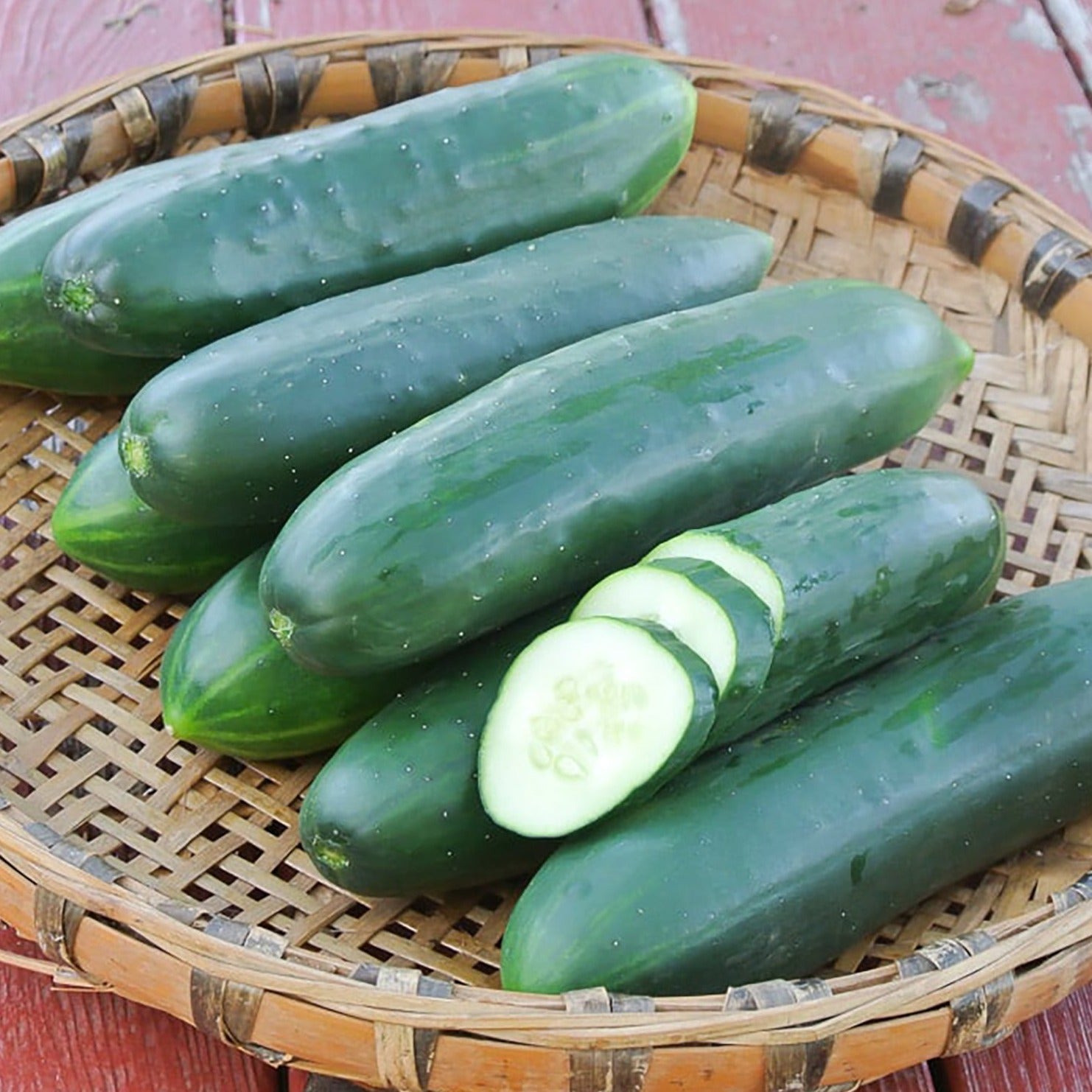 Poinsett 76 cucumber from MIgardener, fresh green cucumber with smooth skin, ready for harvest.
