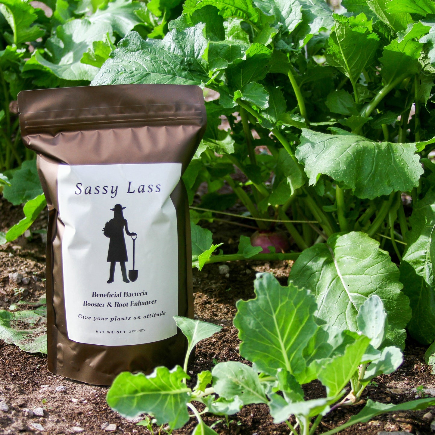 Sassy Lass Beneficial Soil Microbe Booster in 2lb bag from MIgardener, with healthy soil microbes for plant growth