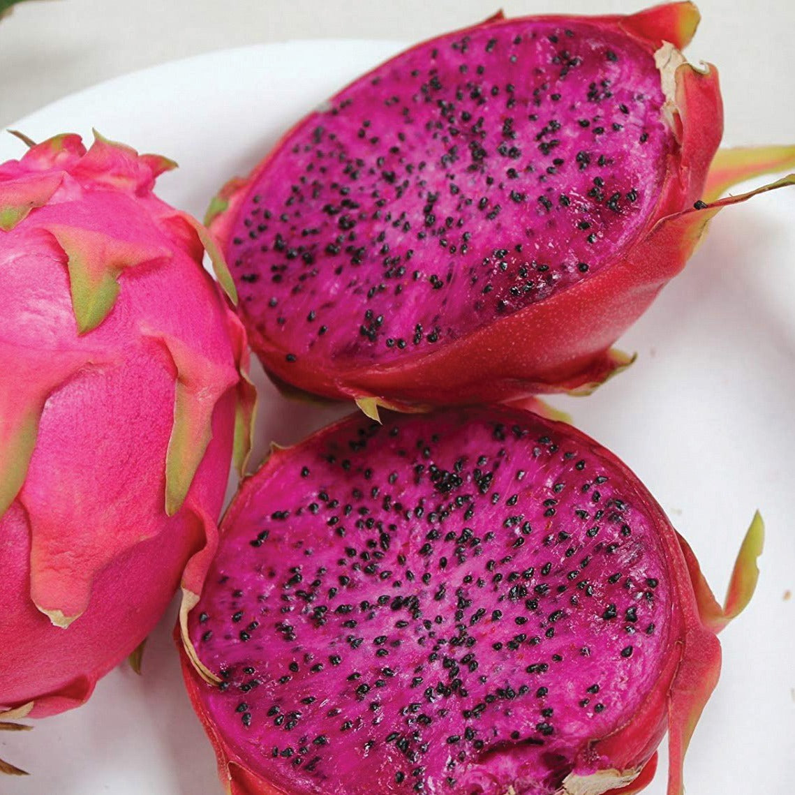 Purple Dragonfruit from MIgardener, showcasing vibrant purple skin and white flesh with black seeds, an exotic tropical fruit.