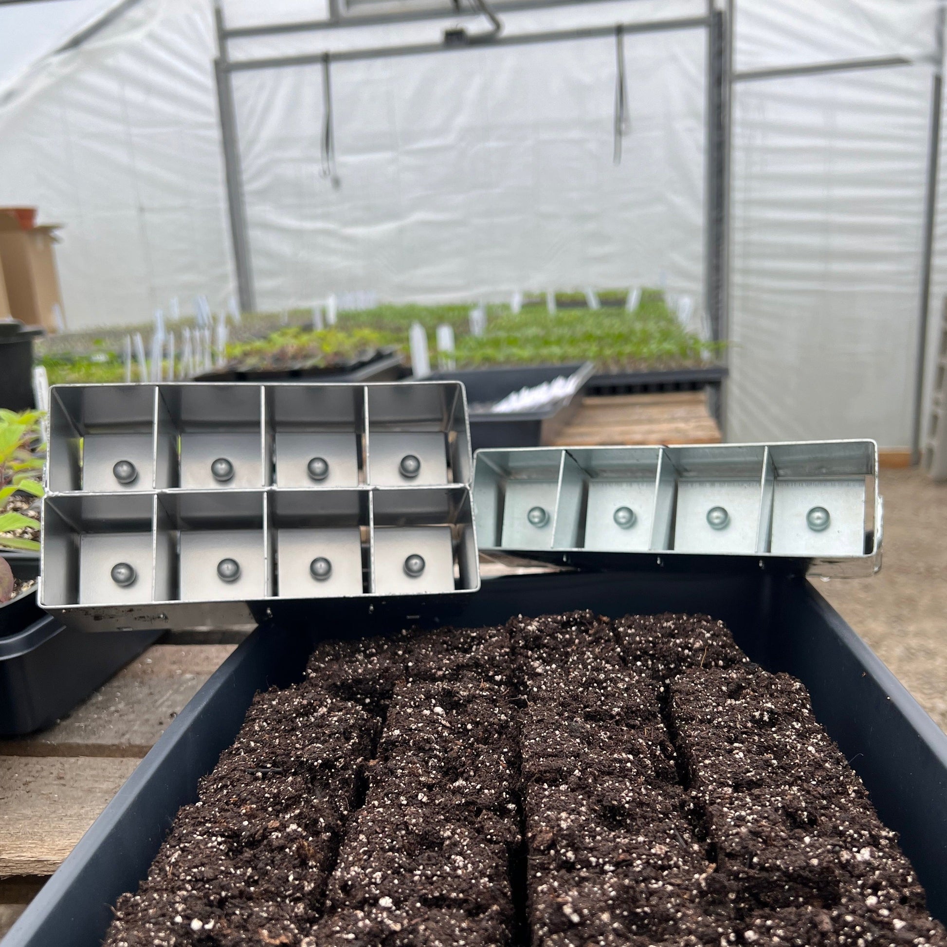 MIgardener Soil Blocker for home and garden, shown with four soil blocks ready for planting. Durable gardening tool.