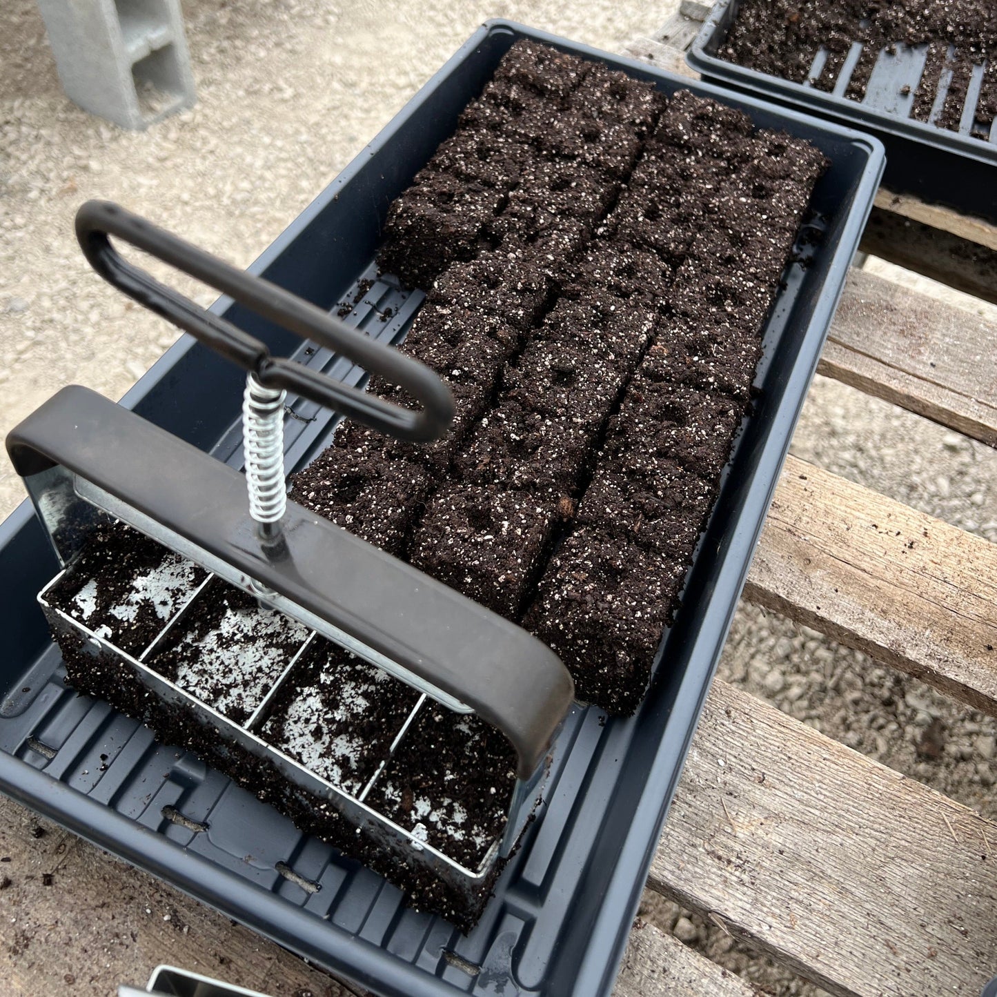 MIgardener’s Soil Blocker for home and garden, shown in use with four blocks ready for planting, made by MIgardener.