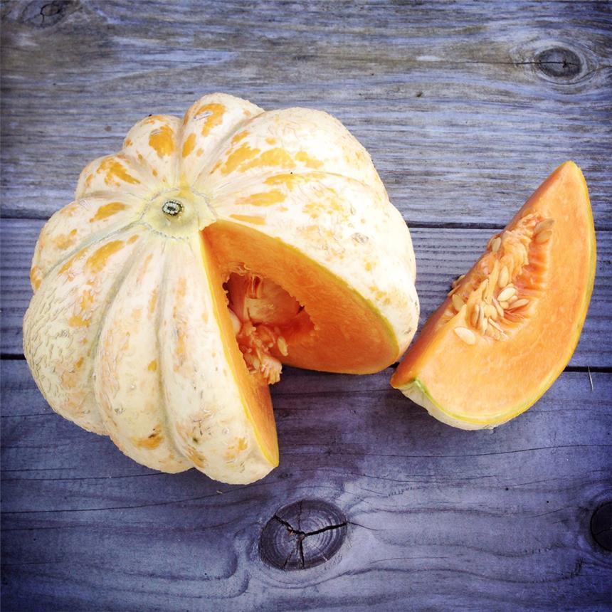 Fresh Delice de la Table melon by MIgardener, showcasing vibrant orange flesh and green rind, ripe and ready to eat.