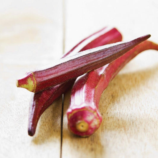 Red Burgundy okra from MIgardener, featuring vibrant red-purple pods with green stems on a garden plant.