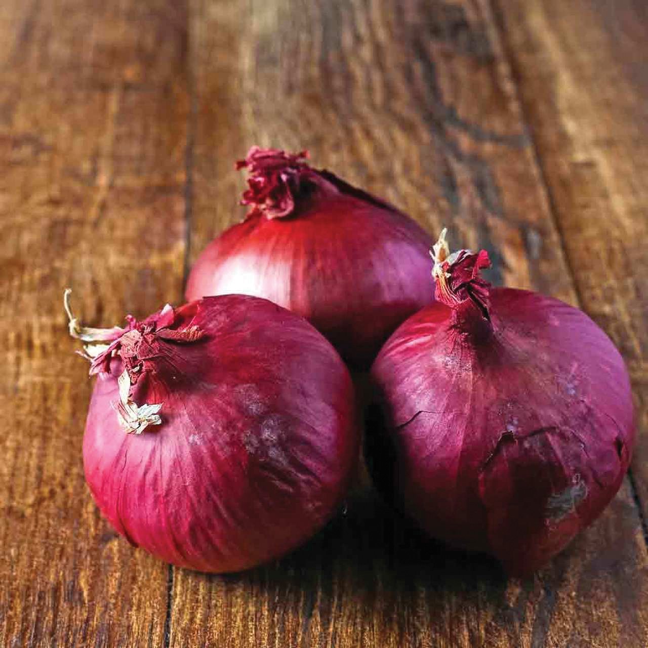 Red Wethersfield Onion by MIgardener, fresh red onion with vibrant skin and firm flesh, ideal for cooking and salads.