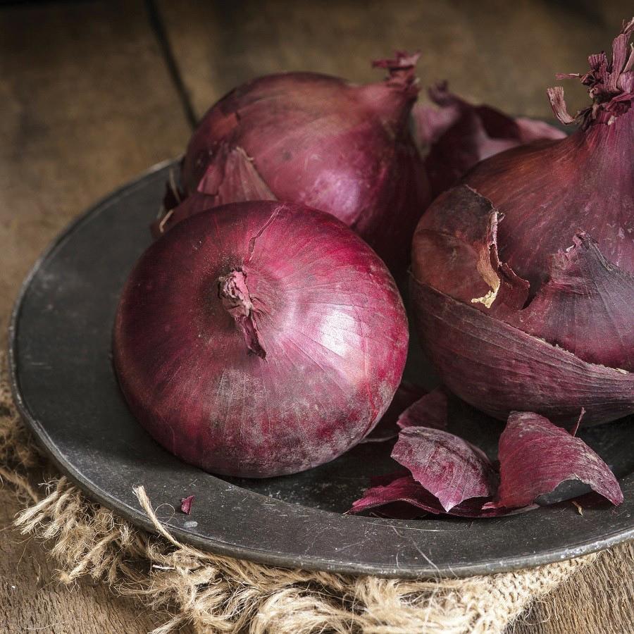 Ruby Red Long Day Onion from MIgardener, showing vibrant red elongated onion with green tops and fresh bulb.