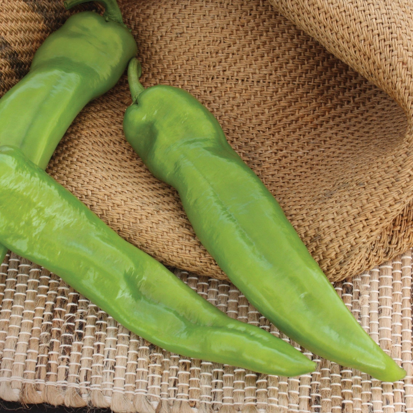 Fresh Anaheim Chili Pepper from MIgardener, vibrant green pepper ready for harvest, featuring smooth skin and elongated shape.