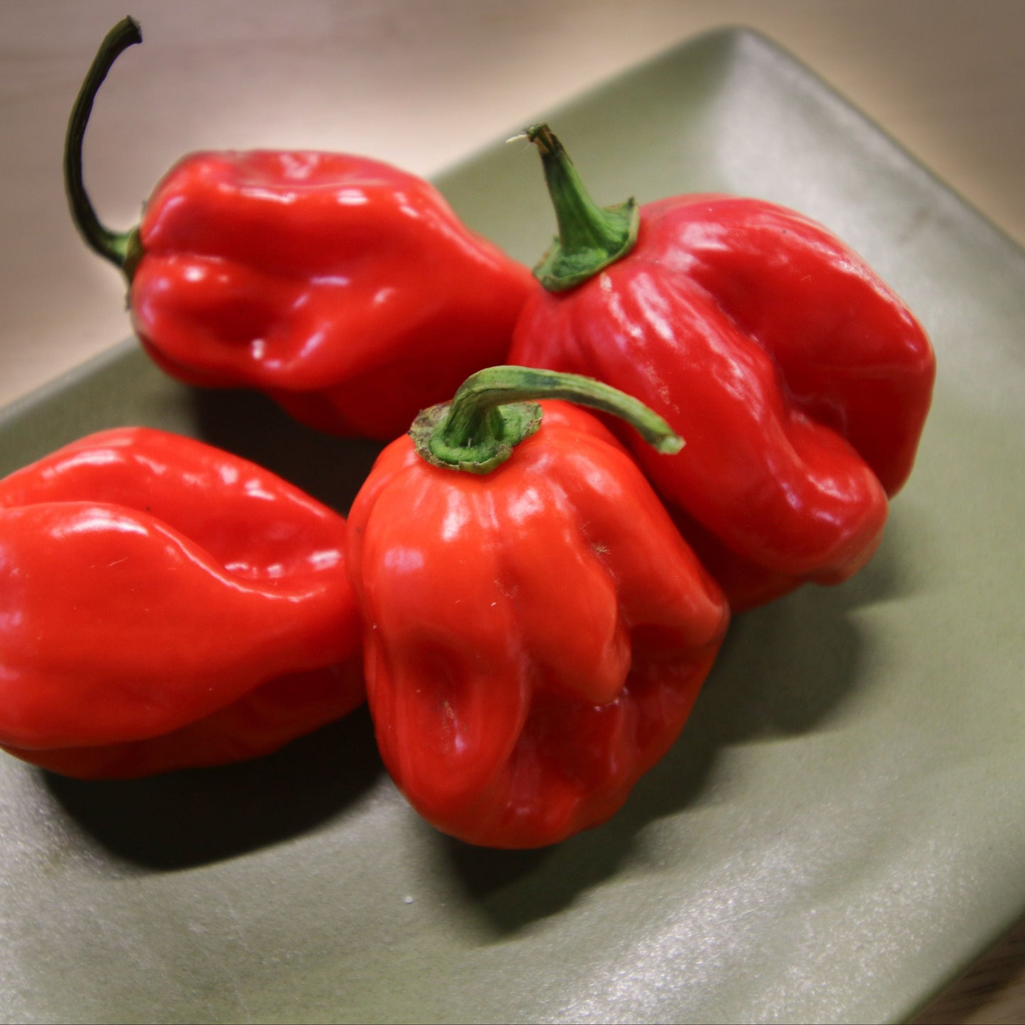 Caribbean Red Habanero pepper from MIgardener, bright red and small with a wrinkled surface, shown on a white background.